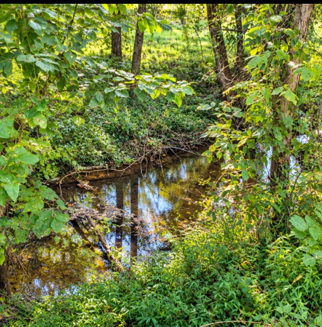 375 Cagle Road