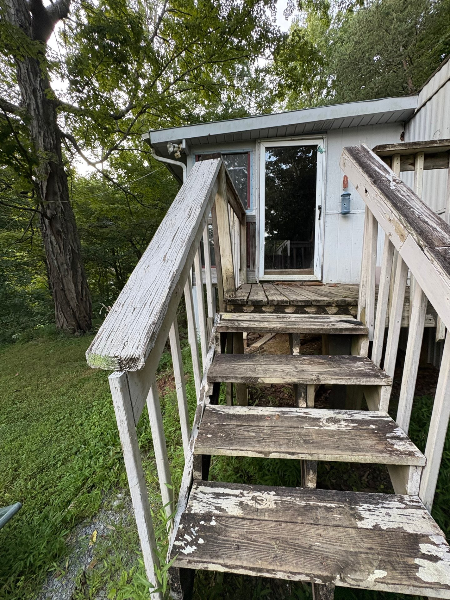 151 Big Springs Ln
