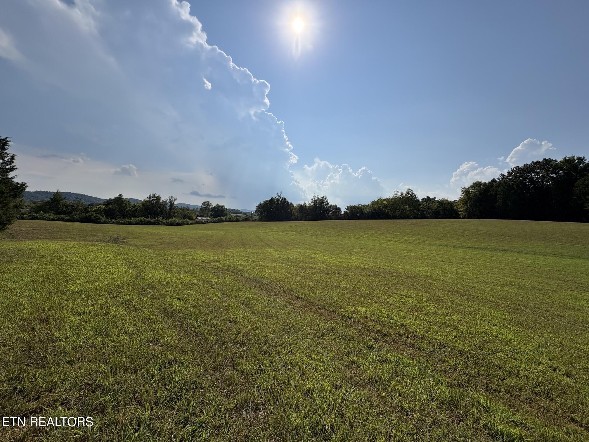 285 Hinchey Hollow Rd