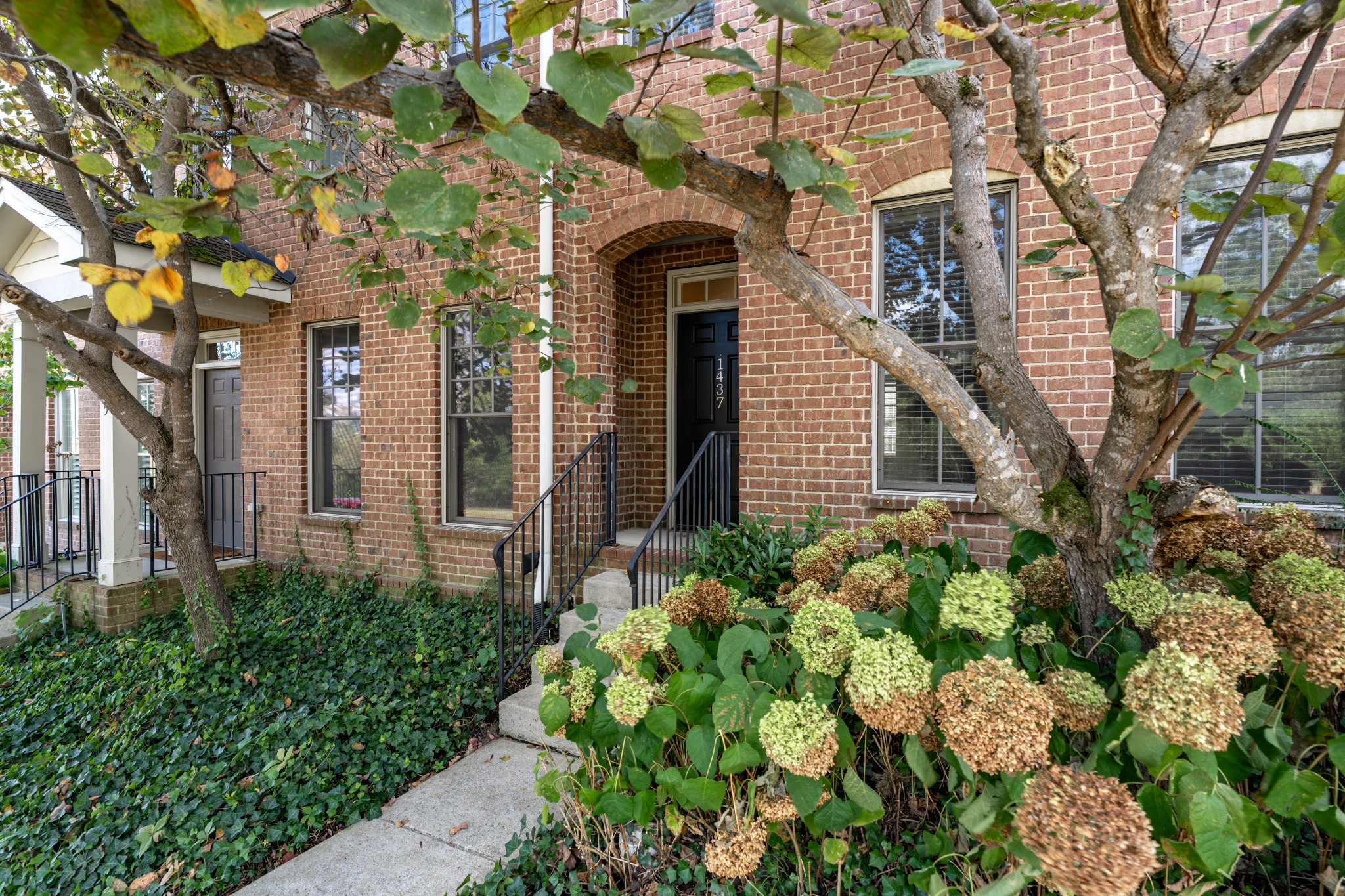 1437 Winding Creek Dr