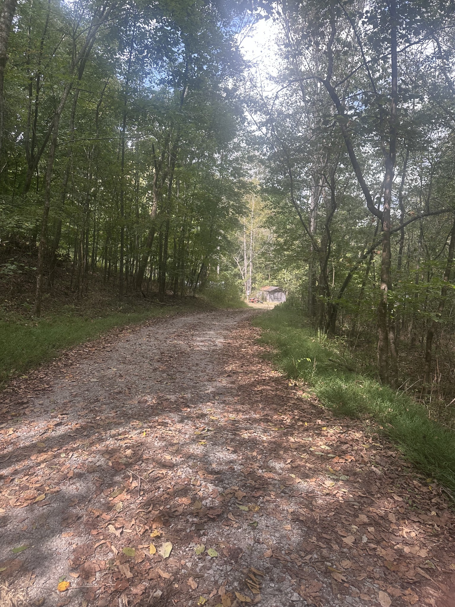 2550 Hurricane Creek Rd